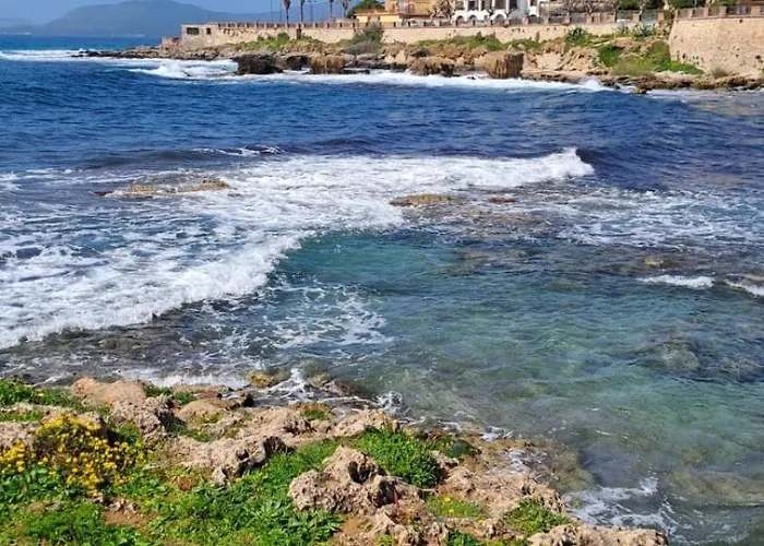 Apartament Casa Dory *